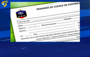 Saisie des licences / Saison 2026-2027...