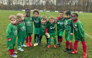 U6/U7 (15/11/2025)...