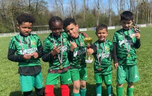 U6/U7 (06/04/2026)...