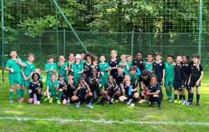 U8 (23/05/2026)...