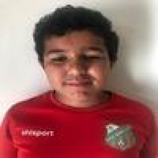 Mehdi